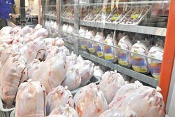 افزایش تولید و ذخیره مرغ/ ساماندهی تخصیص ارز مشکل خاصی در بازار مرغ ایجاد نمی‌کند