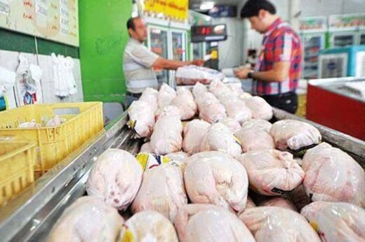 کاهش قیمت مرغ زنده